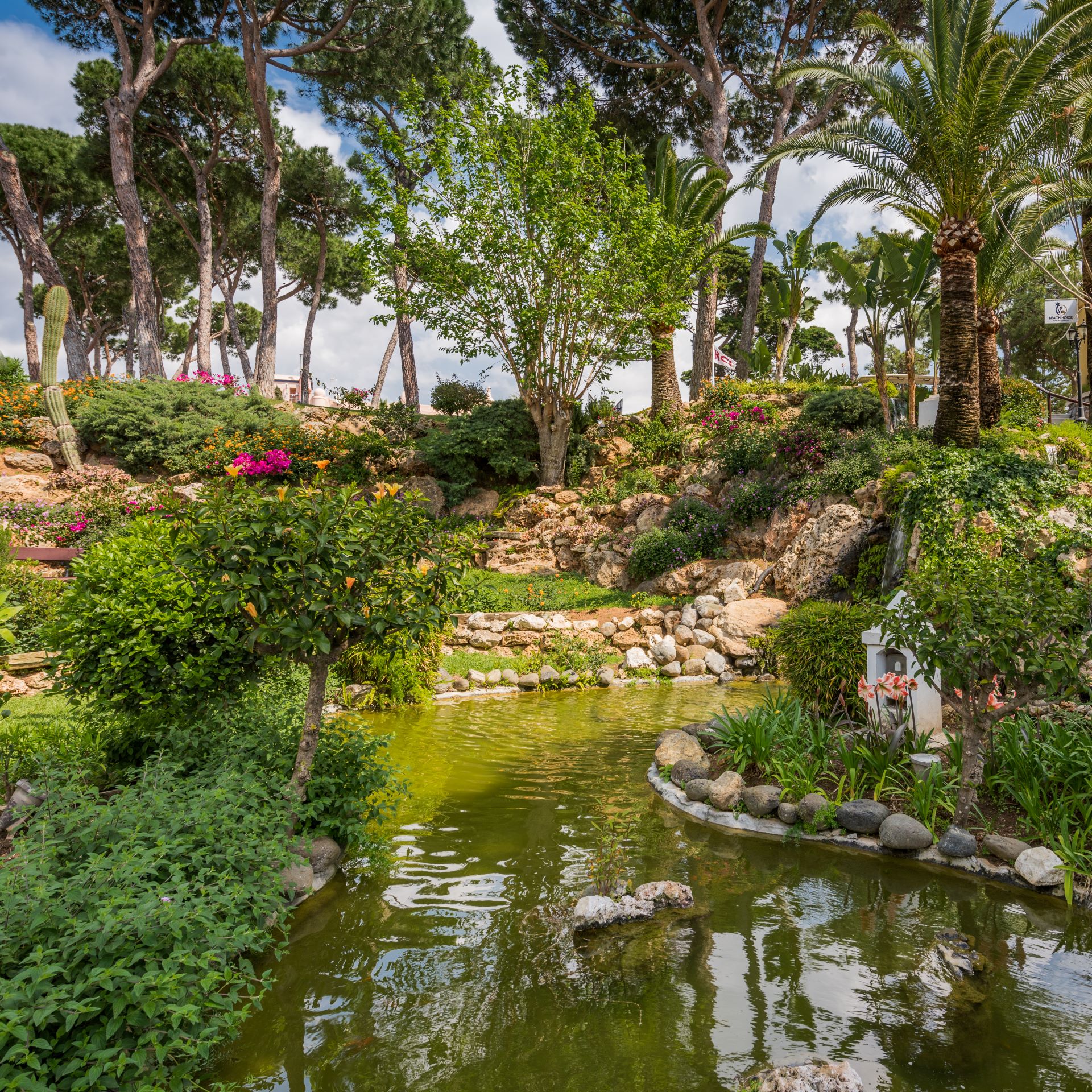 Lp 2019 grounds 7