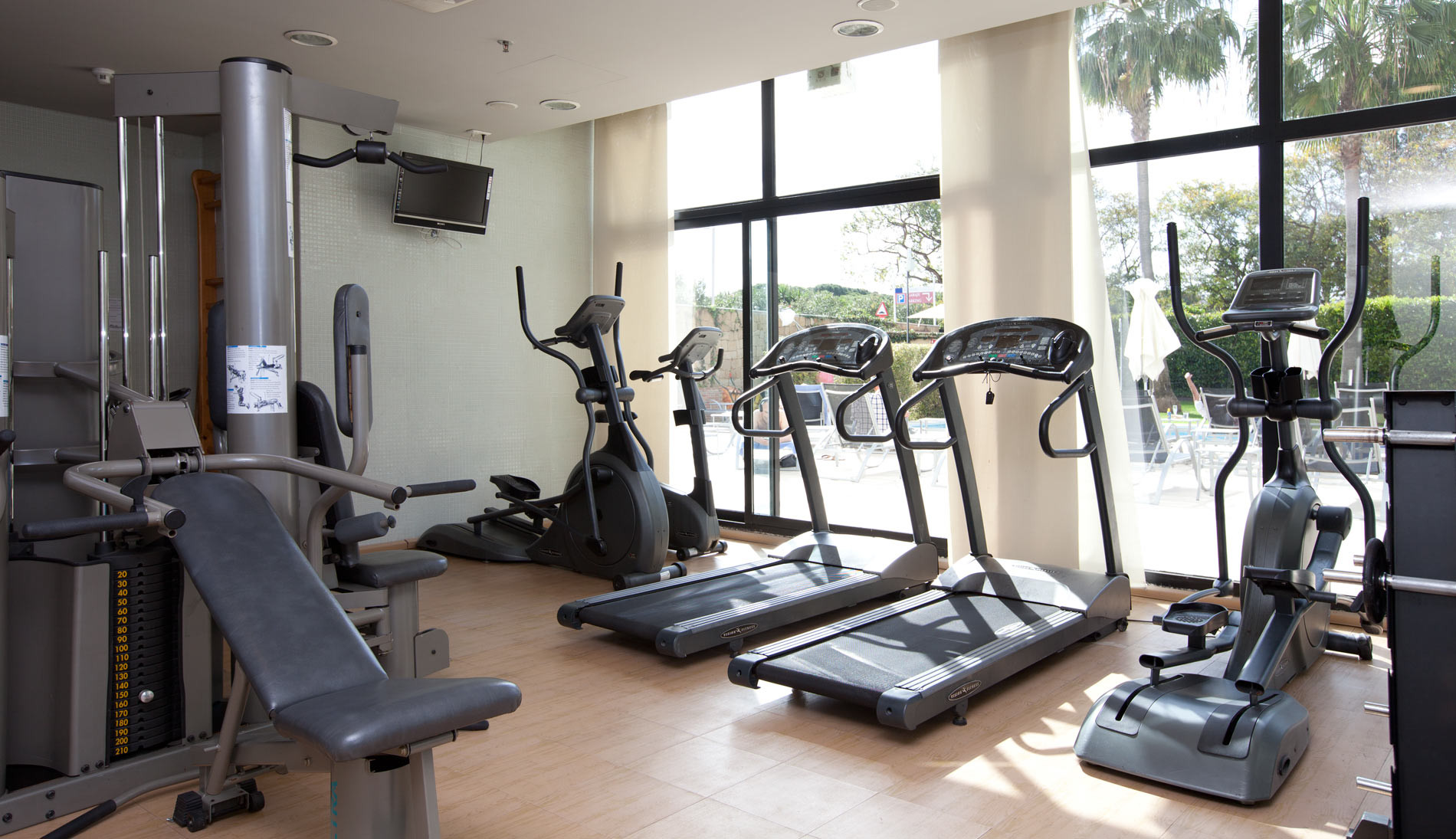 250 alta senatorbanus gym cintas
